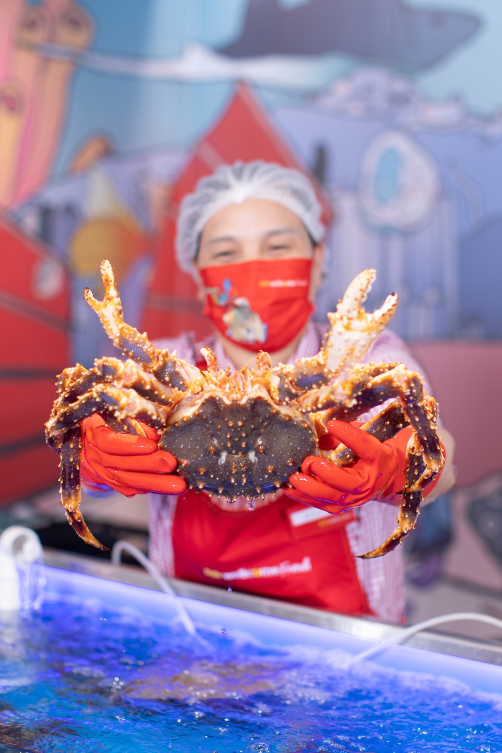 阿拉斯加鲜活皇帝蟹。惠康图片
