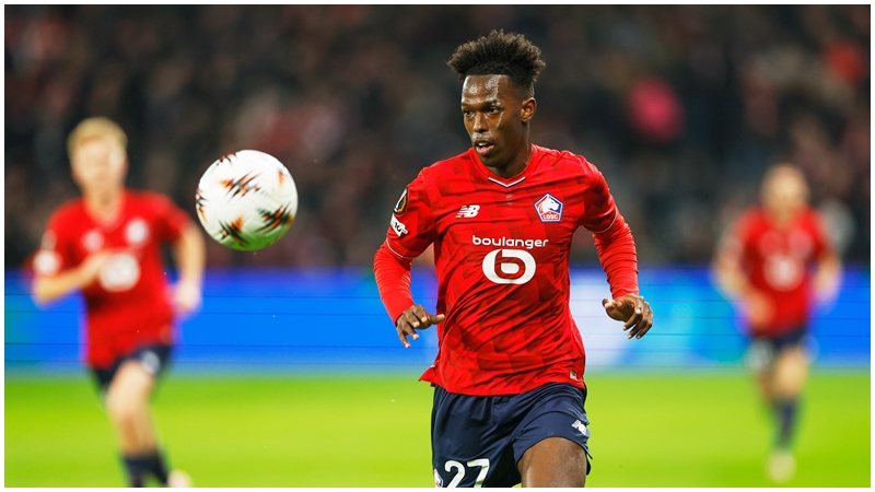 菲历斯哥利亚。AP