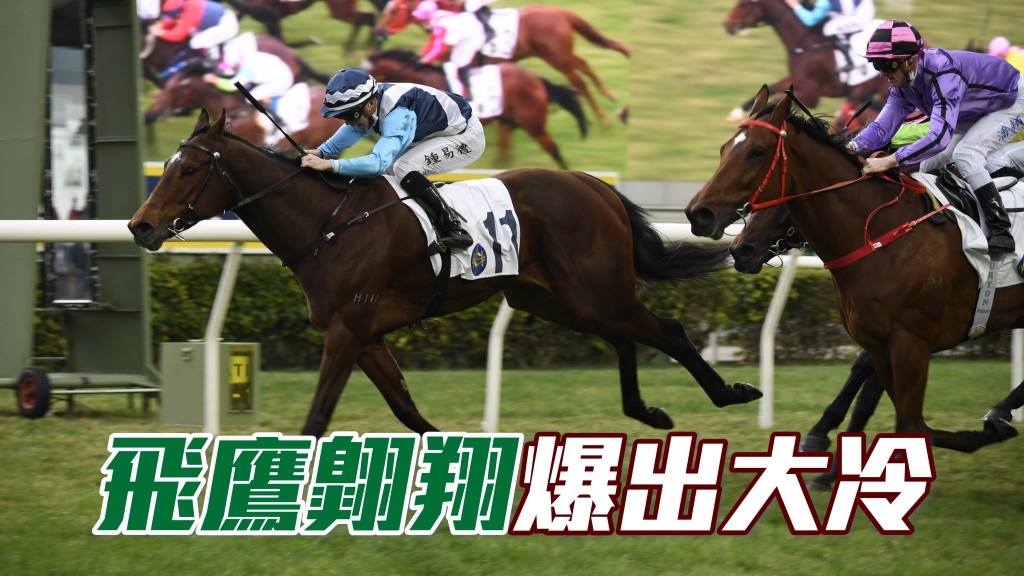 馬場密探048｜「飛鷹翱翔」爆出大冷