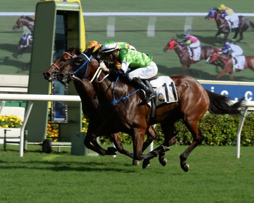方嘉柏在第七場憑「大紅蜂」贏岀今季第五十九場頭馬。