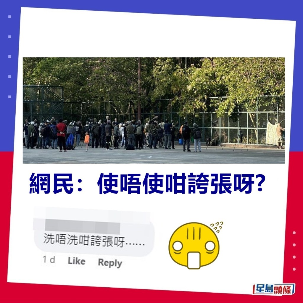 网民：使唔使咁夸张呀？ fb「良景居民（良田新气象）田景、新围」截图 ​  ​