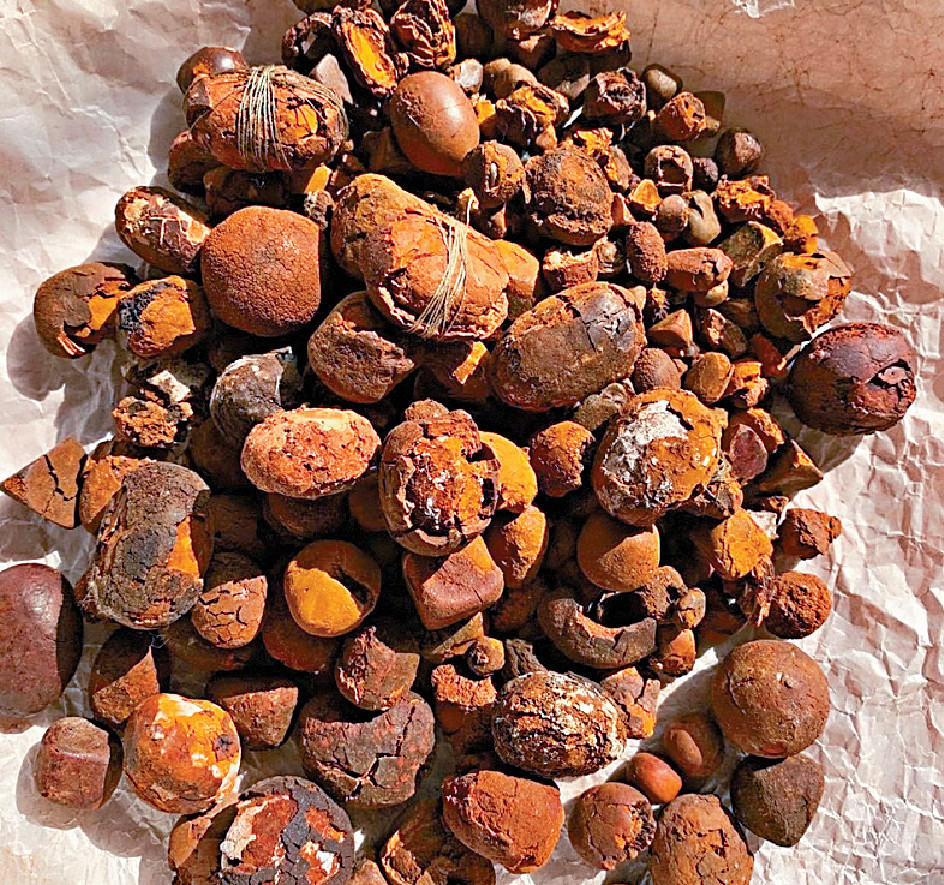 ■本月初天然牛黃的價錢已接近黃金的2倍價格。