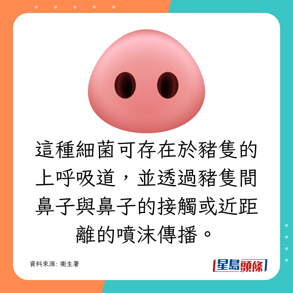 這種細菌可存在於豬隻的上呼吸道,並透過豬隻間鼻子與鼻子的接觸或近距離的噴沫傳播。