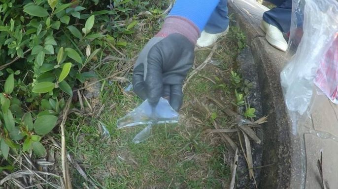 「海洋拾荒者Kitti」FB圖片