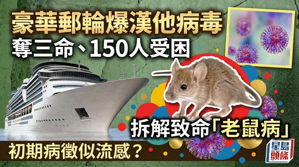 豪華郵輪爆漢他病毒奪三命、150人受困  拆解致命「老鼠病」  初期病徵似流感？
