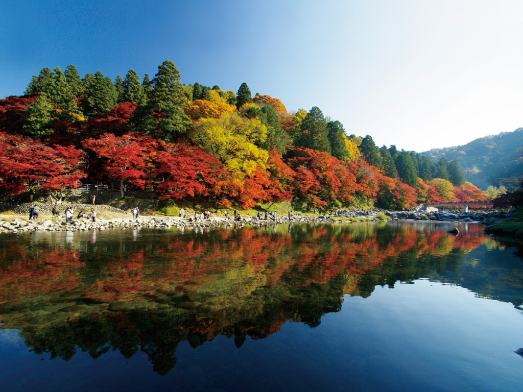 爱知县丰田市香岚溪，每年11月都会迎来绝美秋色。