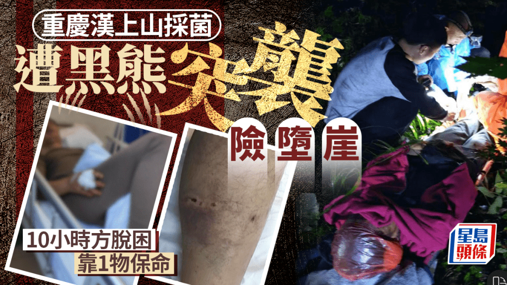 重慶男子上山採菌遇熊正面襲擊