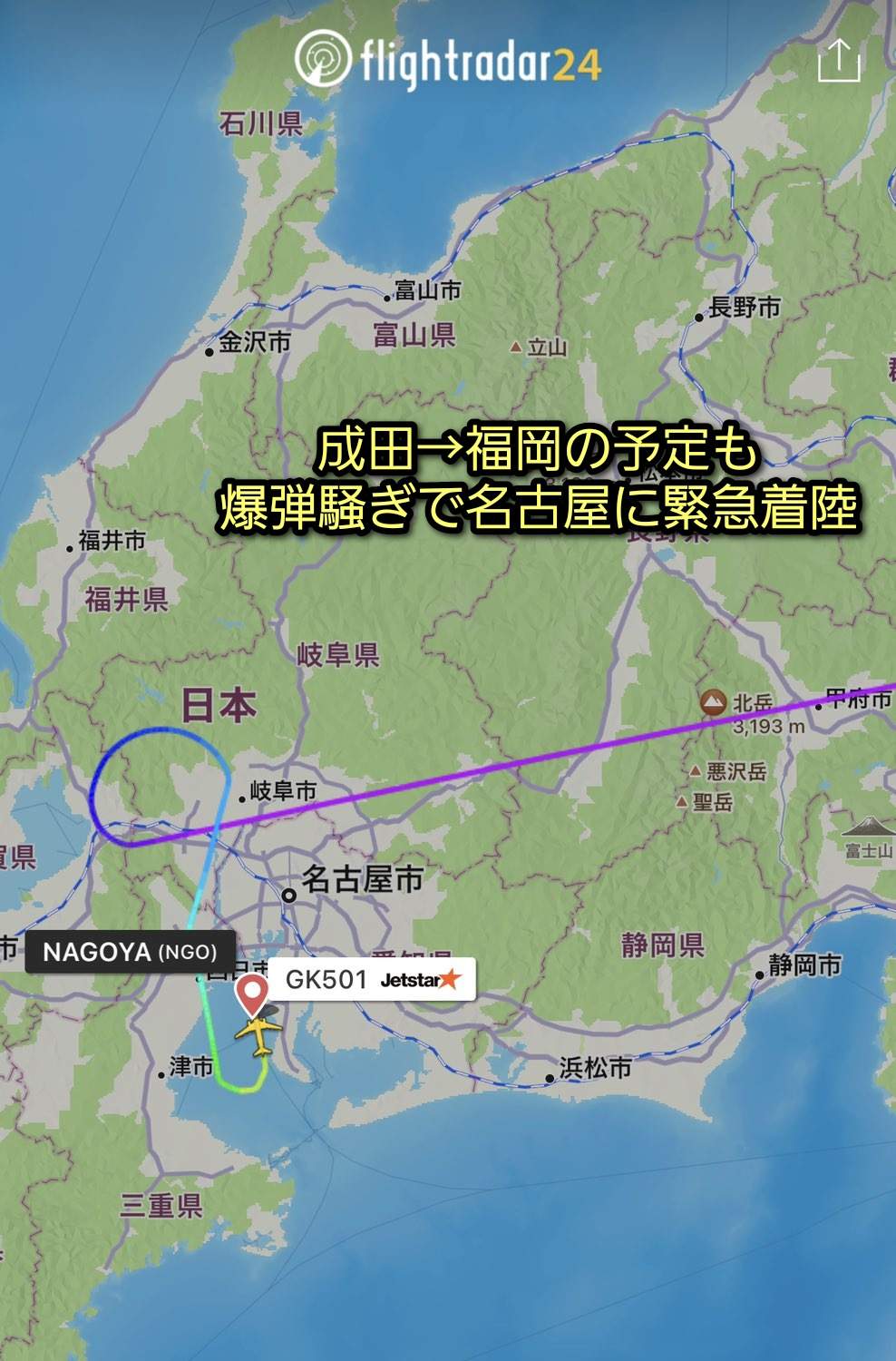 航空纪录显示，客机从东京成田机场起飞后，中接被迫在名古屋中部国际机场紧急降落。