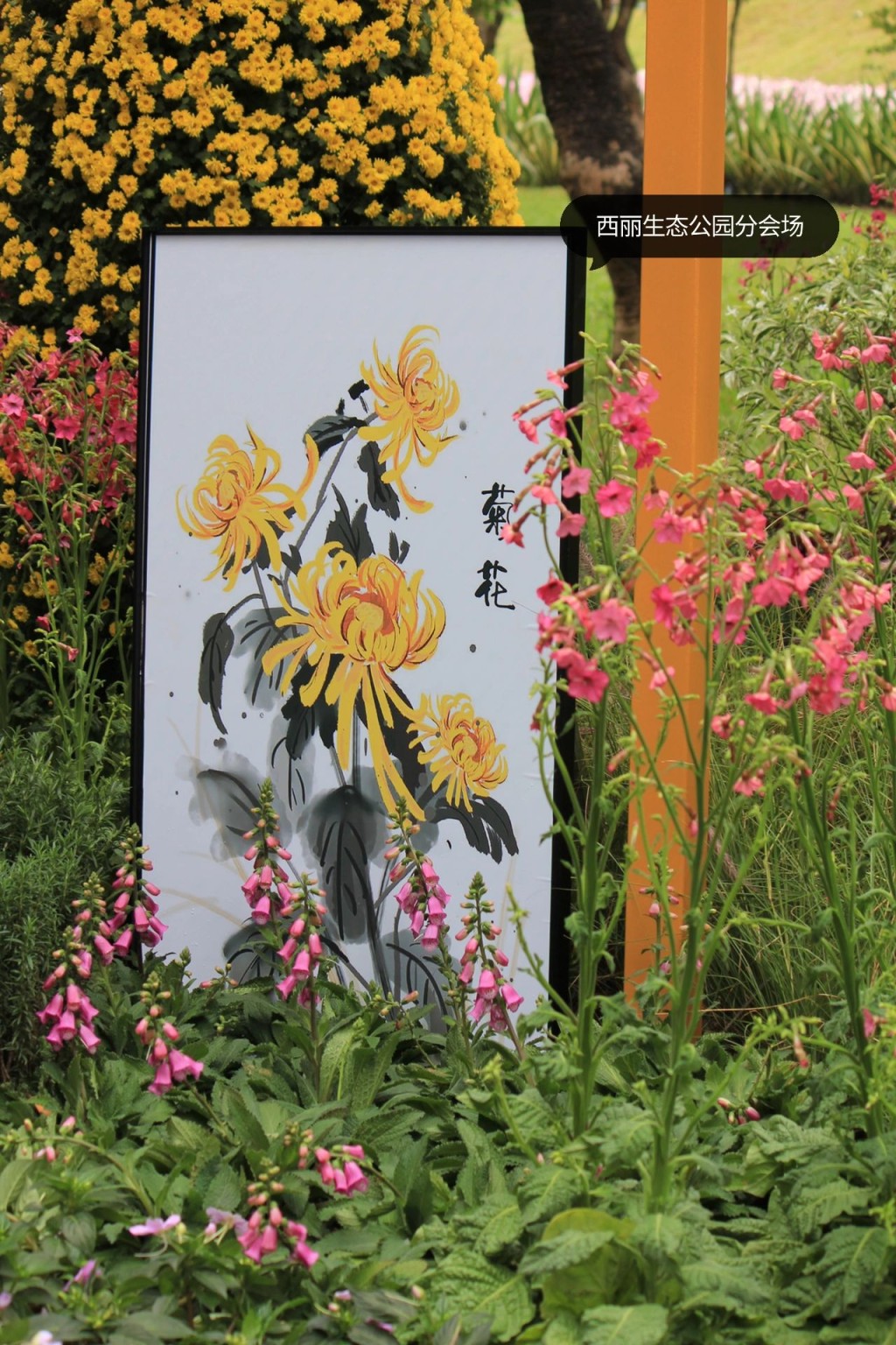 南山西麗生態公園設菊花主題市集，包括菊花糖畫、菊展Logo彩繪及手工藝品等，結合觀賞與玩樂於一身。（圖：Lizbeth＠小紅書）