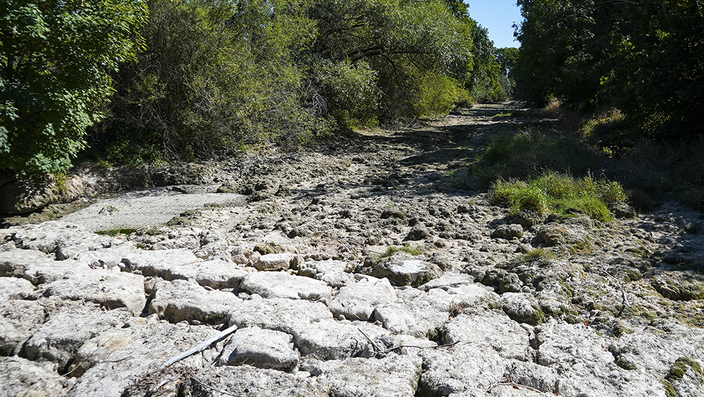 法国勒克斯的蒂勒河乾涸的河床。AP