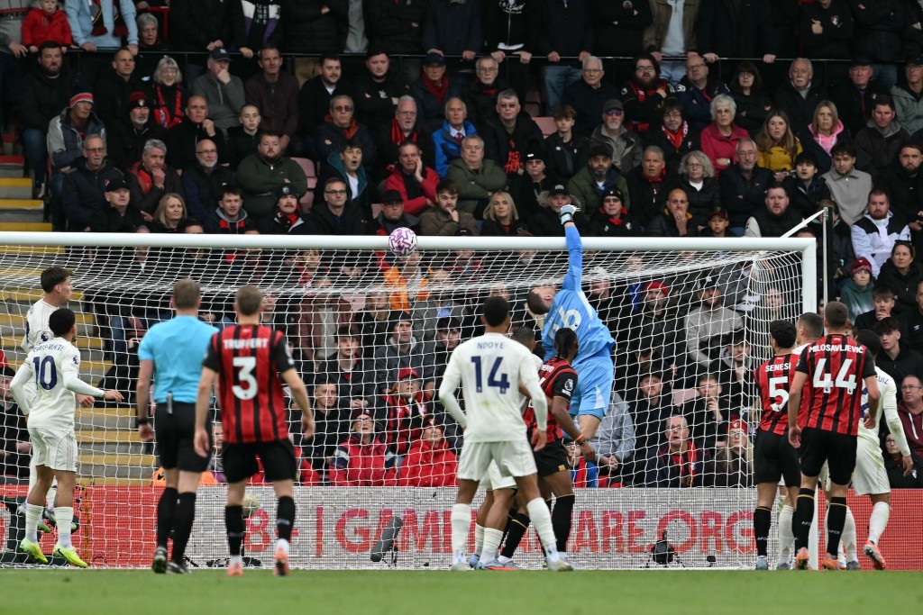 達華尼亞為般尼茅夫開紀錄。法新社 達華尼亞為般尼茅夫開紀錄。法新社