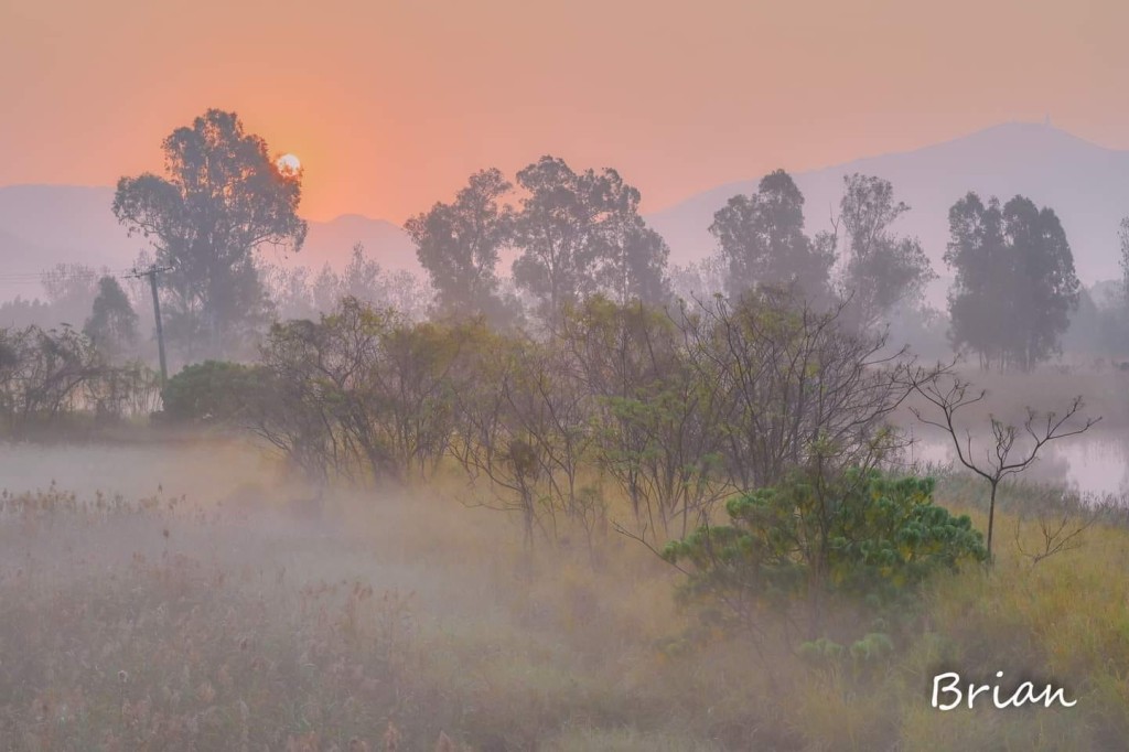 天文台指「日出地霧」通常日出時分先會短暫見到。圖片授權Brian Chiu