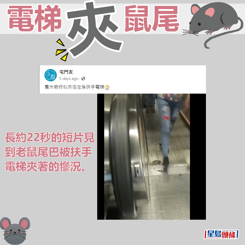 長約22秒的短片見到老鼠尾巴被扶手電梯夾著的慘況。fb「屯門友」截圖