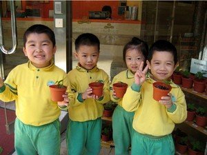 （圖片來源：官方圖片）