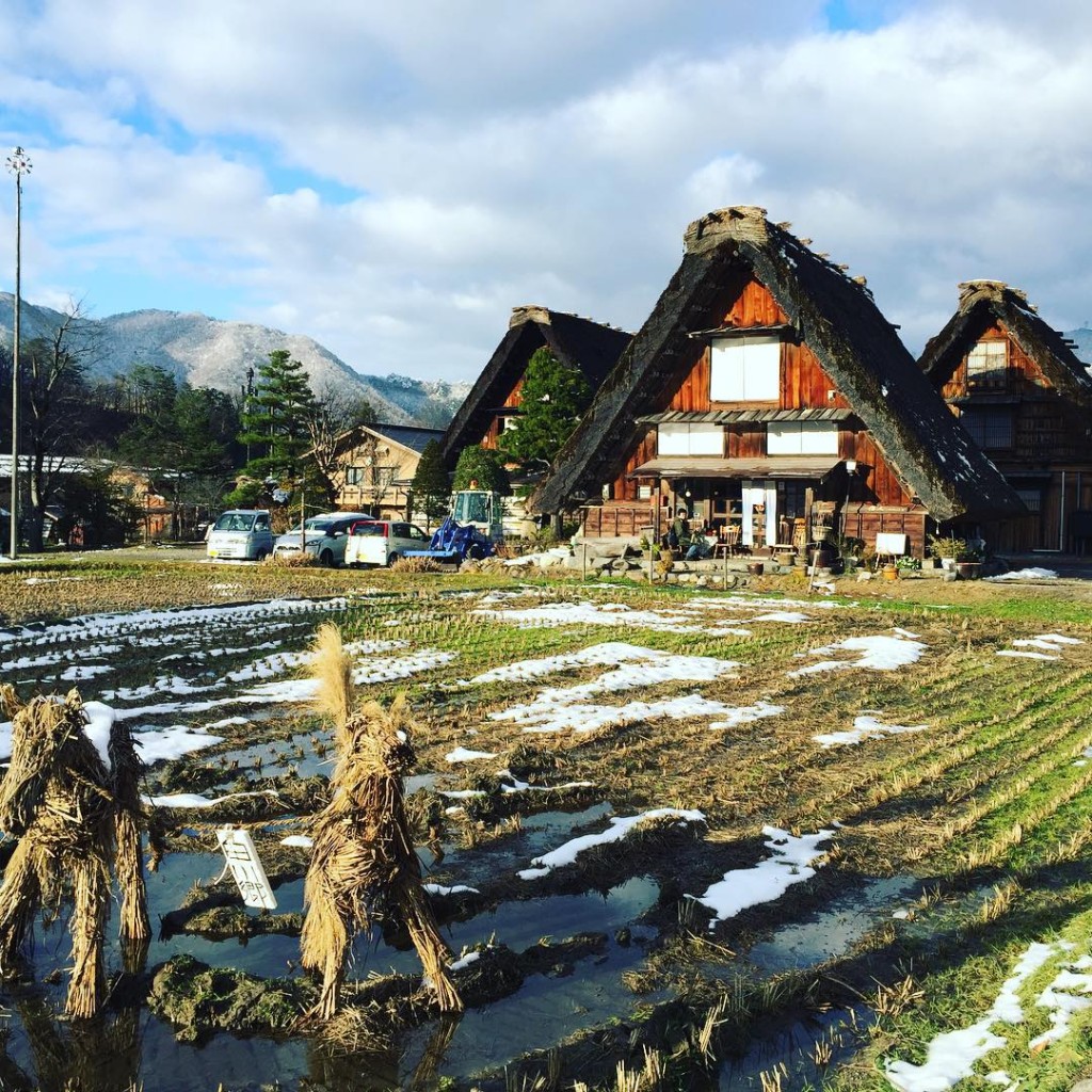 独特的合掌屋，由茅草盖顶。（IG@debii2015）