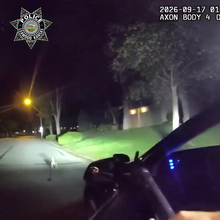 醒目汪星人深夜狂吠拦警车,引警员回家救跌倒受困3小时主人。 醒目汪星人深夜狂吠拦警车,引警员回家救跌倒受困3小时主人。