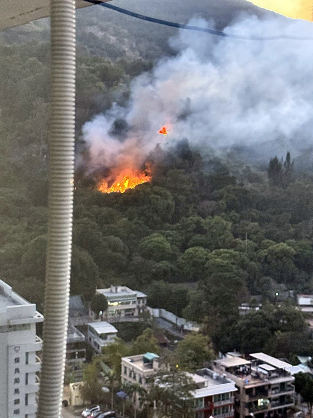 上水華明邨對開山頭發生山火。網圖