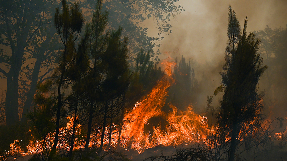 法國熱浪高溫創紀錄山火肆虐，西南部吉倫特省延燒進入第7天。AP圖