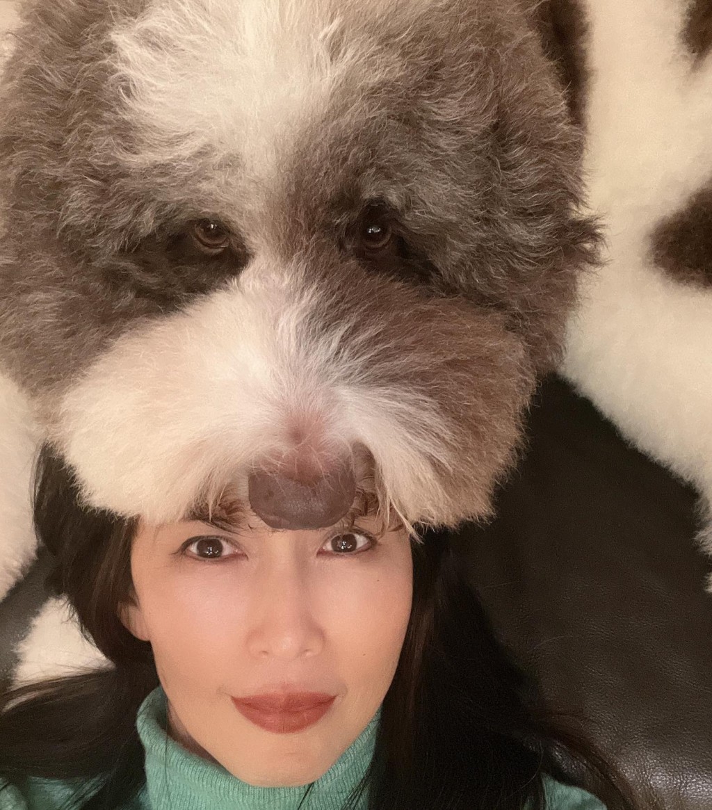 呢張相好得意,狗狗識望鏡頭。