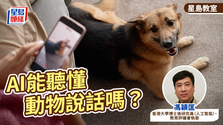 AI能聽懂動物說話嗎？｜星島教室
