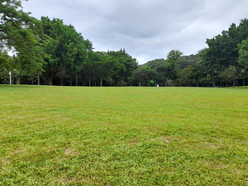 莲花山公园内的大草地是打卡必选佳位。
