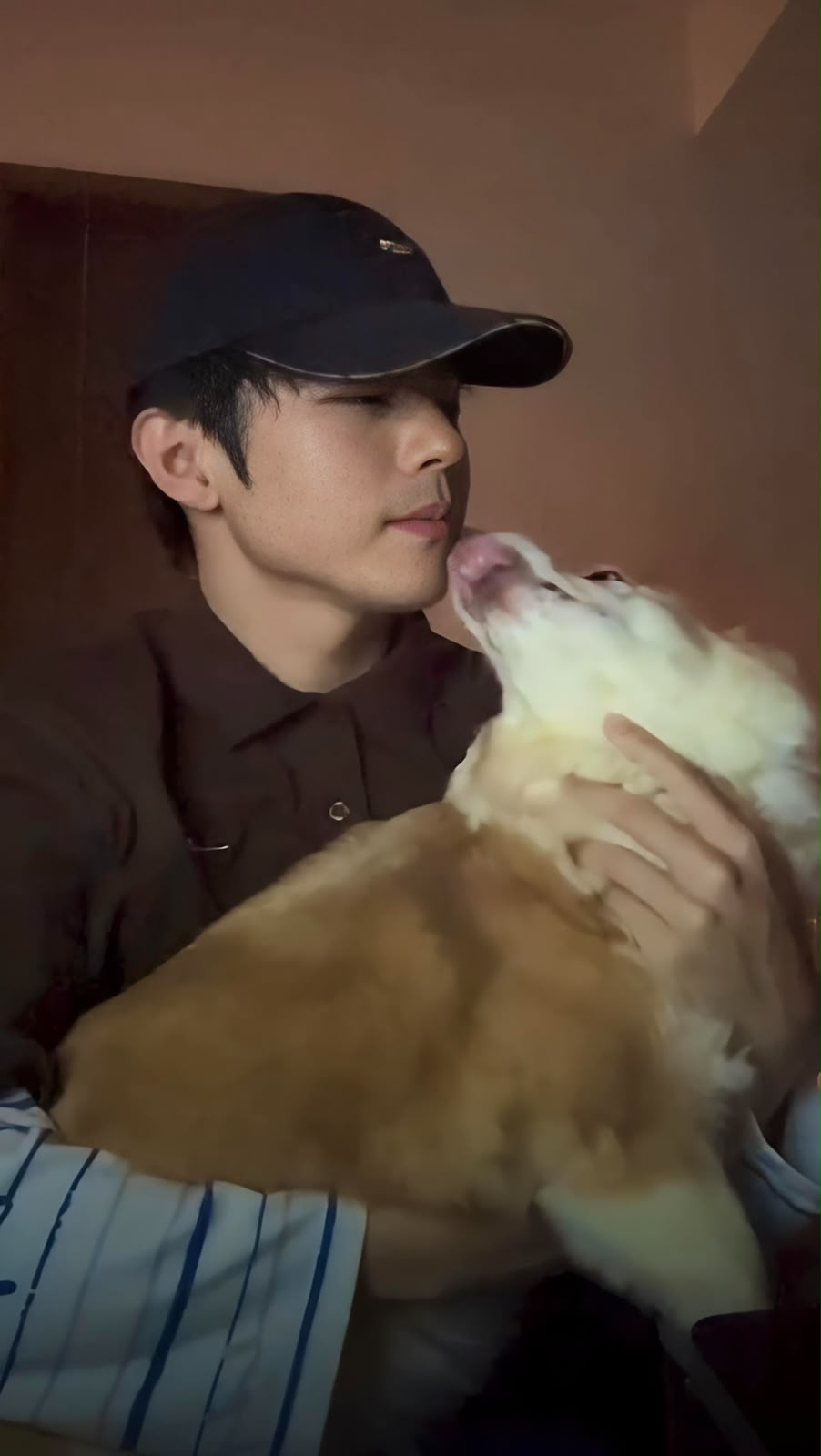 Ian拍MV,召喚兩隻可愛活潑的愛犬雞髀(圖)和芝麻亮相。 Ian拍MV,召喚兩隻可愛活潑的愛犬雞髀(圖)和芝麻亮相。