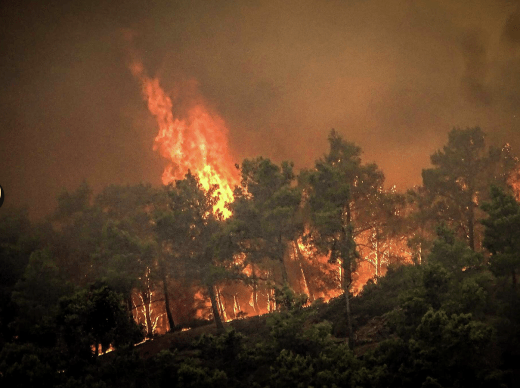 希腊政府正忙于应对山火威胁。美联社