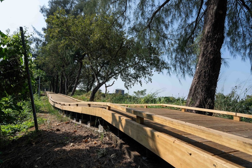 米埔自然保護區新建的木棧道命名為「賽馬會教育徑」。馬會提供