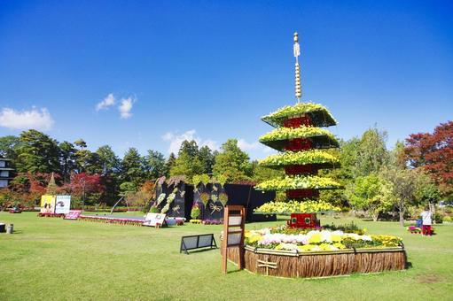 由10月28日至11月6日，弘前城植物园会举办菊花红叶祭。