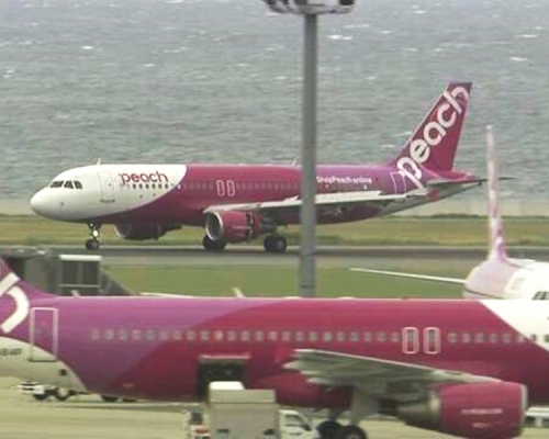日本廉航樂桃航空將暫時停飛往來日韓的三條航線。 網圖