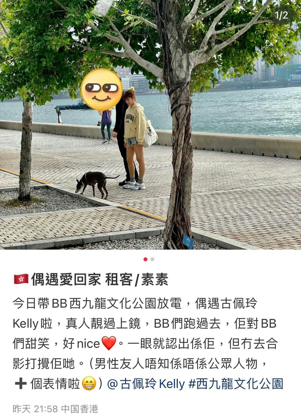 有網民日前於小紅書貼出古佩玲放狗的照片。