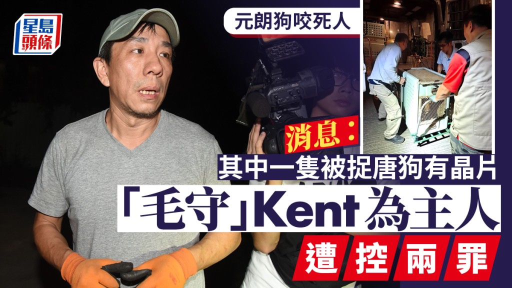 元朗狗咬死人｜消息：其中一隻被捉唐狗有晶片 毛守Kent為主人遭控兩罪