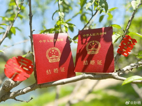 孙杨和张豆豆将结婚证书摆在树上拍摄意境照留念。