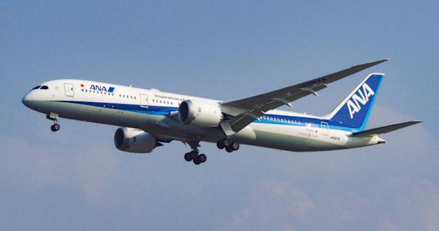 全日空客機在飛行途中有乘客鬧事。維基網站