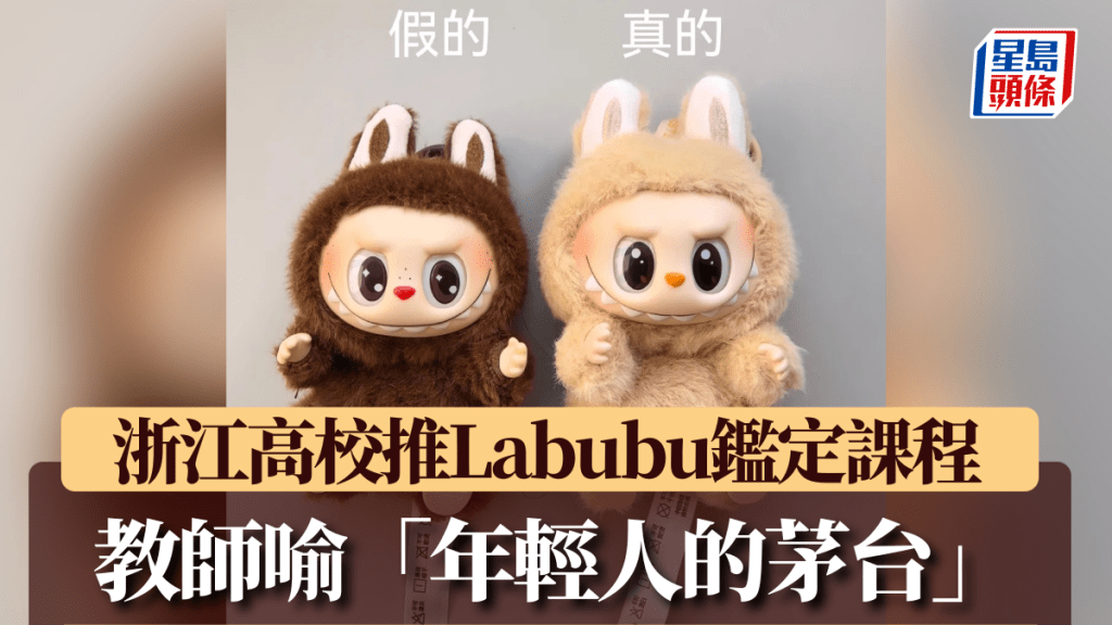 Labubu鑑定課登浙江高校講堂 教師將其類比「年輕人的茅台」