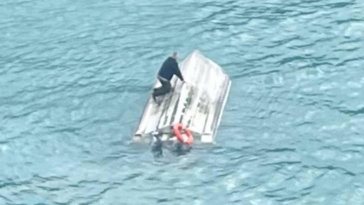 紐西蘭一艘觀光船疑被鯨魚撞翻導致5死。網上圖片