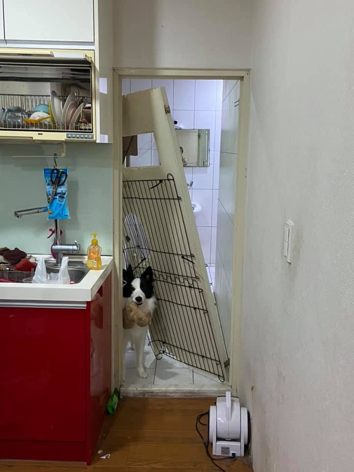 「淑芬」近日将厕所门拆下。(ChiChi Lu facebook 图片)