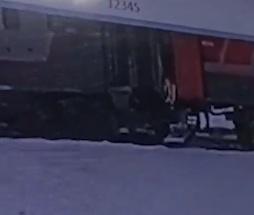 宠物猫特克斯被列车员扔出车外冻死。
