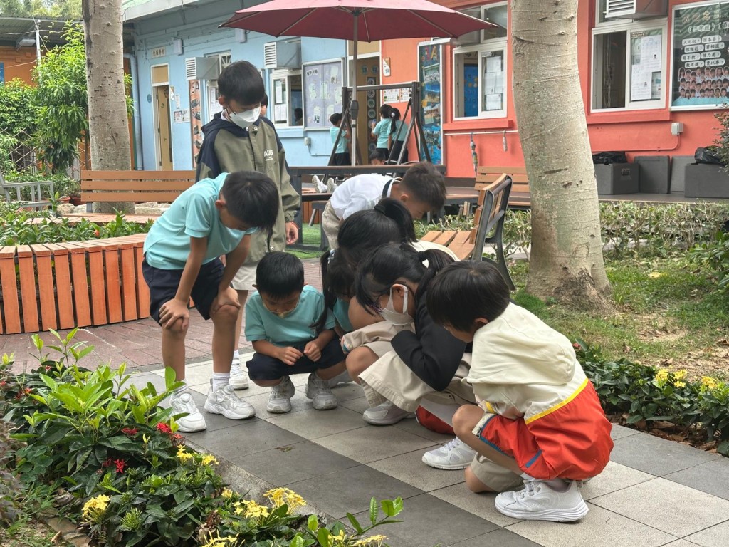 （圖片來源：通德學校）