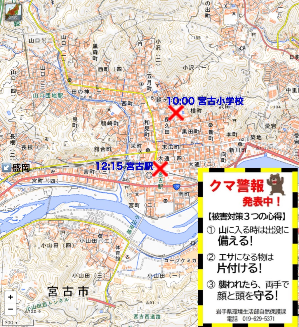 宮古市政府發出熊出沒警示。X@pencorocororin 宮古市政府發出熊出沒警示。X@pencorocororin