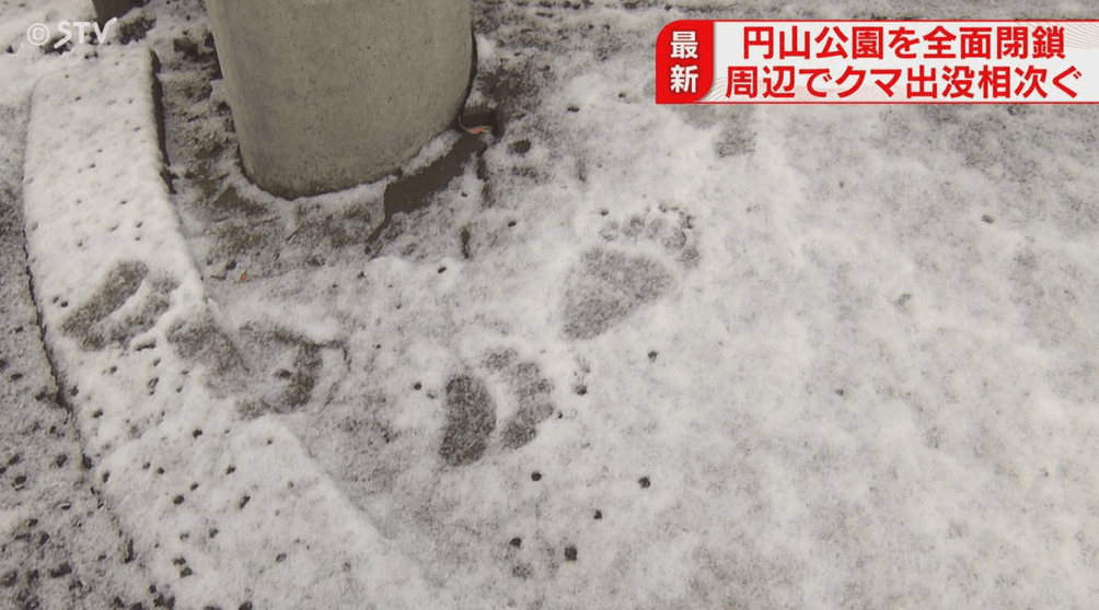 市政府為防止熊襲事件，宣布自即日起全面封閉圓山公園及相關設施兩週，直至確認安全後才重新開放。X@stvhoudoubu