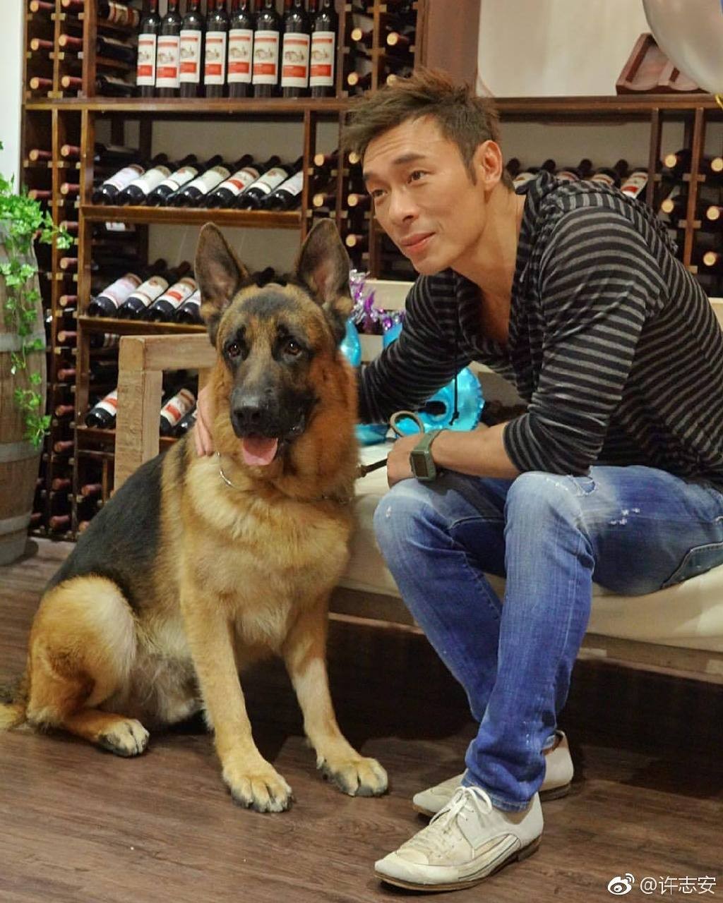 許志安同愛犬狼狗LUCKY。