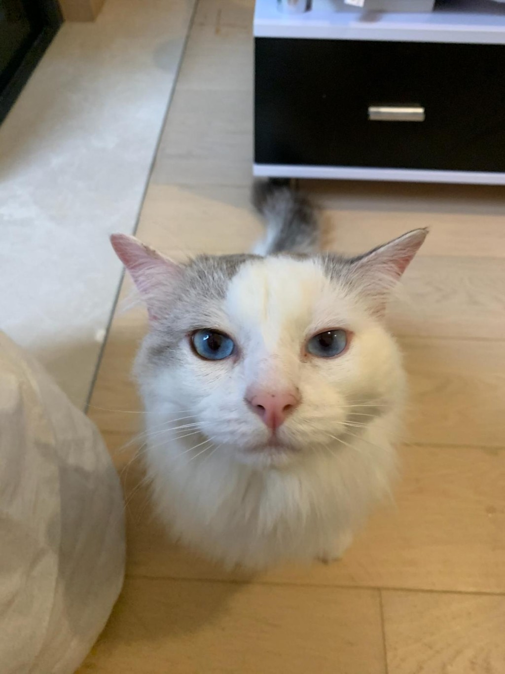 曹律師表示,現階段最理想的解決途徑是尋求民事訴訟或雙方協商和解。(受訪者P小姐提供相片) 曹律師表示,現階段最理想的解決途徑是尋求民事訴訟或雙方協商和解。(受訪者P小姐提供相片)