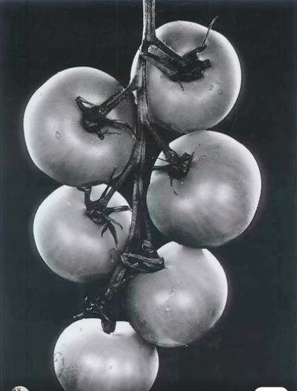 1997年，周潤發家姐周聰玲拿了他拍的三張照片，用化名參加香港回歸攝影聯展，其中一幅以蕃茄為全景的照片奪得了三等獎。
