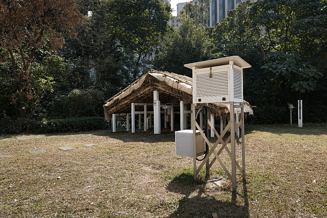 天文台網頁截圖