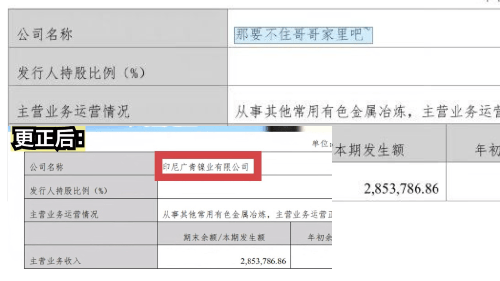 廣州新晉世界500強廣新集團年報打錯字,出現奇怪的子公司名。