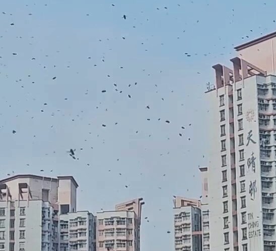 樓主:點解會咁㗎?fb「天水圍街坊鄰里」截圖 樓主:點解會咁㗎?fb「天水圍街坊鄰里」截圖