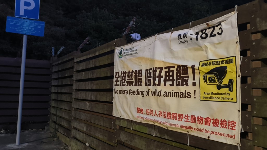 餵飼野生動物屬違法行為。資料圖片