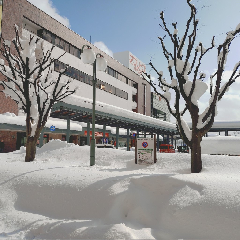 日本持續兩周的雪災，截至2月3日已造成30人死亡。X@SFSMKJRgsbOpc37