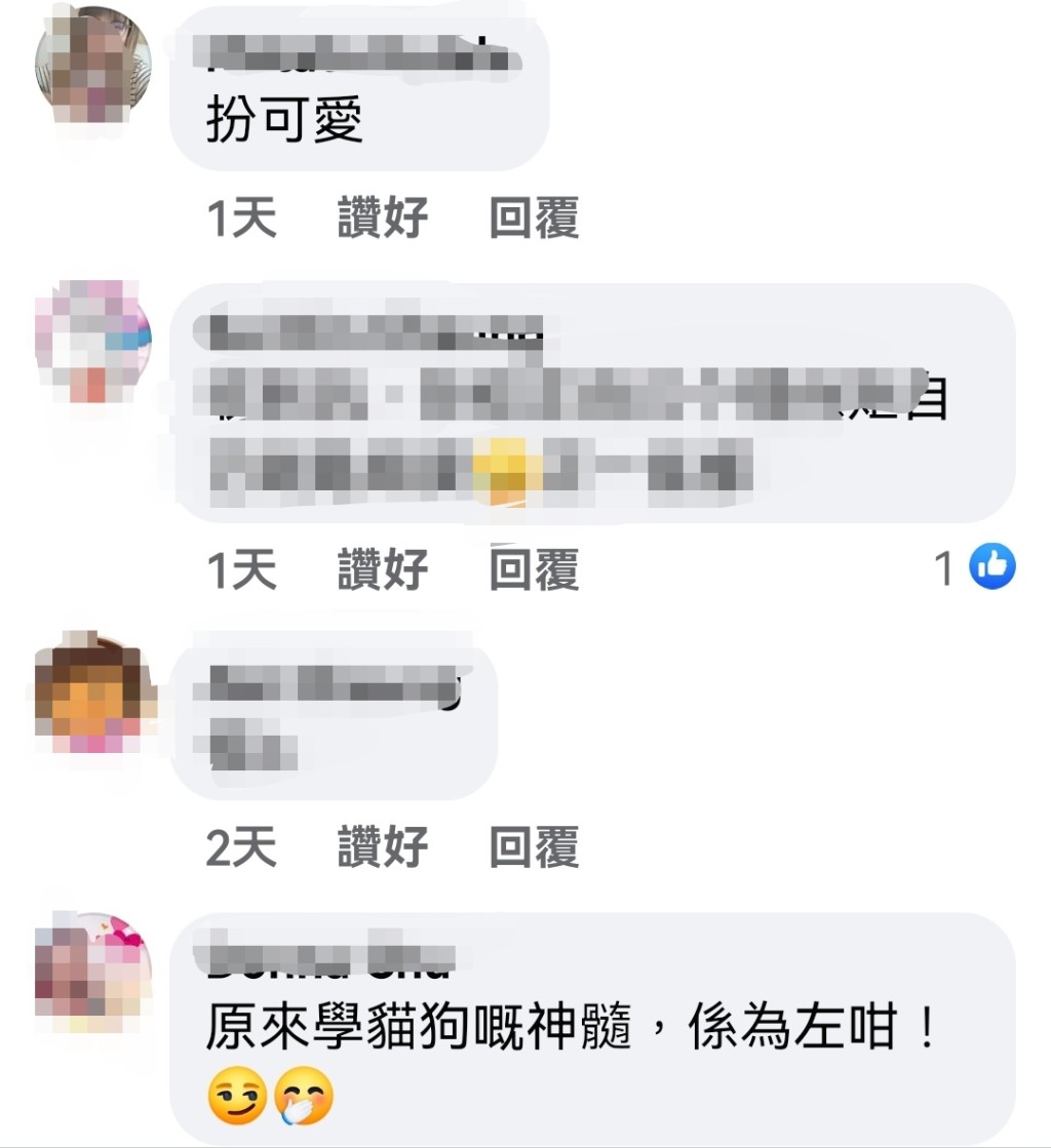 網民取笑他原來紋小豬圖案係學貓狗嘅神髓。